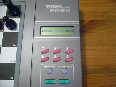 Tiger Grenadier  3  15 x 15
