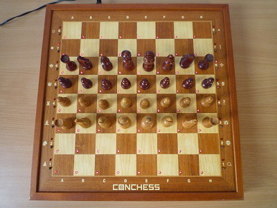 Conchess Ambassador 3 10 x 10